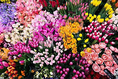 古埃及背景俯视角探索动作冒险游戏《阿努之书》将于2025年第一季度推出